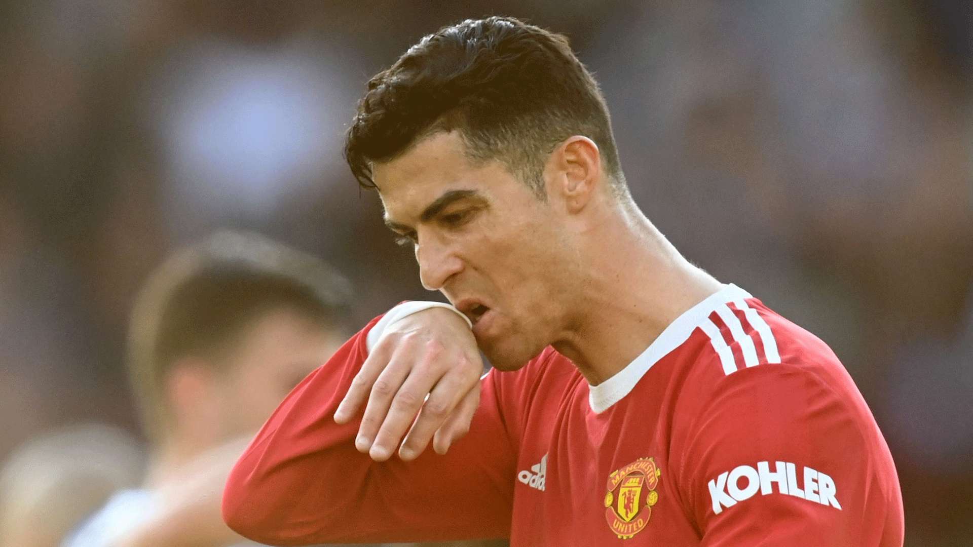 中拥有极高 中拥有极高